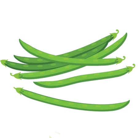 Safe and Unsafe Vegetables For Dogs & Cats Preventive Vet